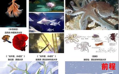 乙一作品最新章节、乙一最新作品章节大揭秘